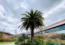 Middle College High School named California Distinguished School Middle College High named 2024 California Distinguished School