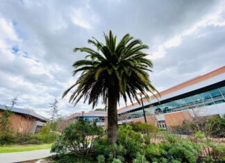 Middle College High School named California Distinguished School Middle College High named 2024 California Distinguished School