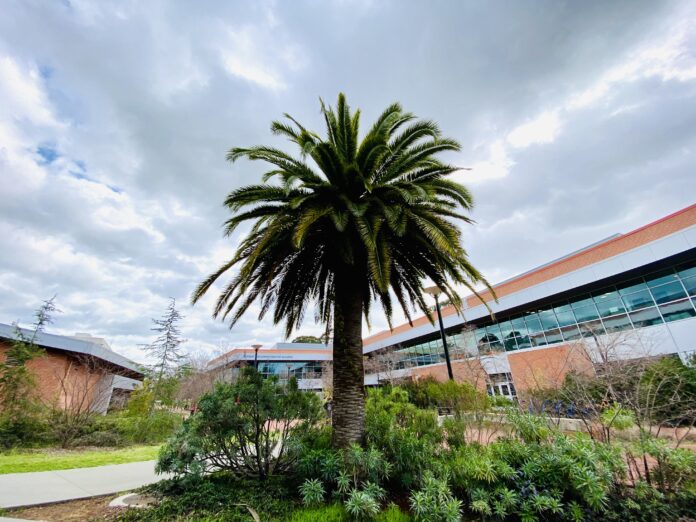 Middle College High named 2024 California Distinguished School