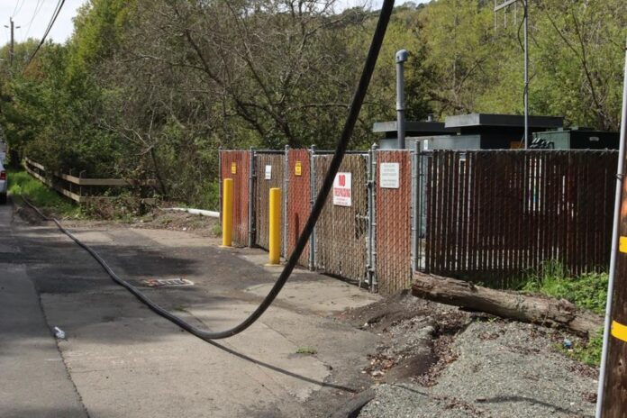 Suspect in Richmond seen cutting down telephone wires in broad daylight