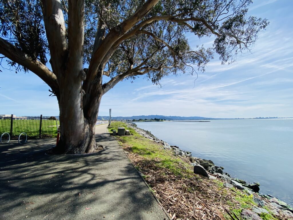 Daughter aims to honor her mother with Bay Trail memorial bench