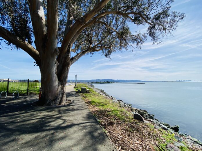 Daughter aims to honor her mother with Bay Trail memorial bench