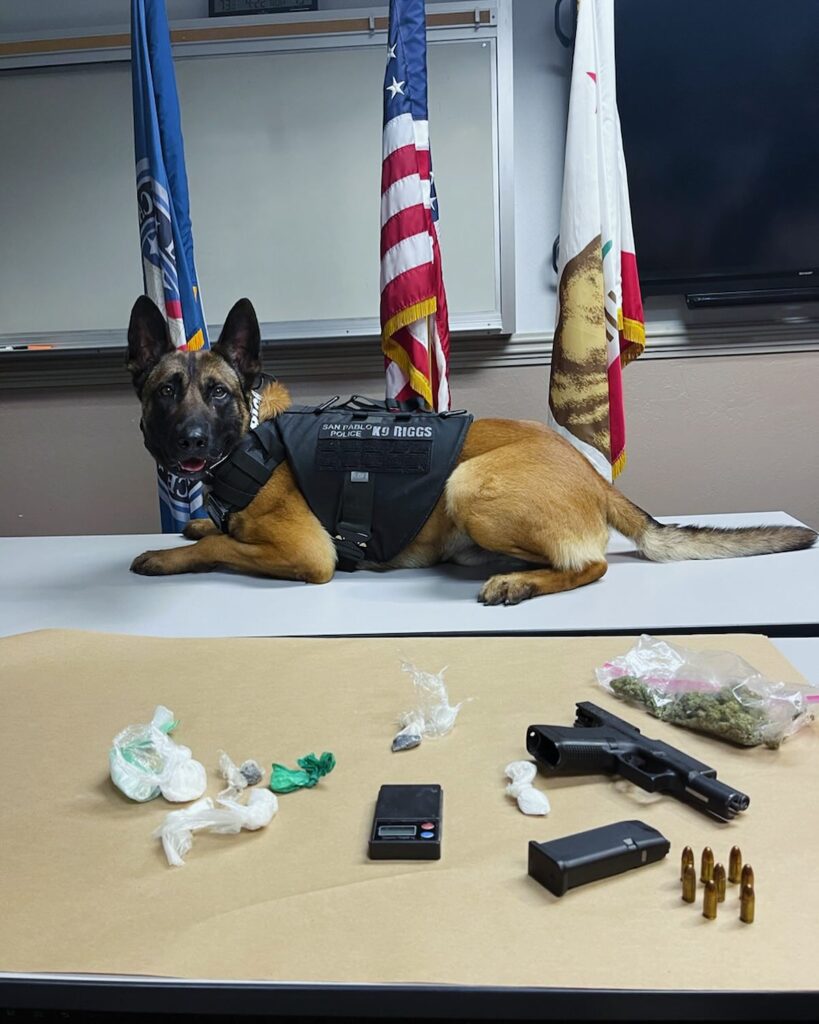K9 team locates gun, drugs in traffic stop