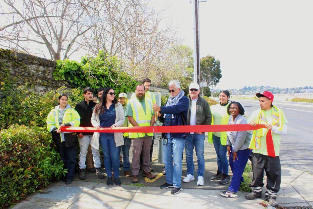 Richmond to plant 500 pollution-shielding trees along parkway