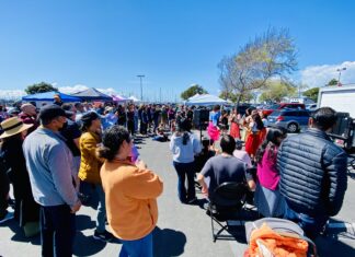 Families flock to new farmers market in Marina Bay Families flock to new farmers market in Marina Bay