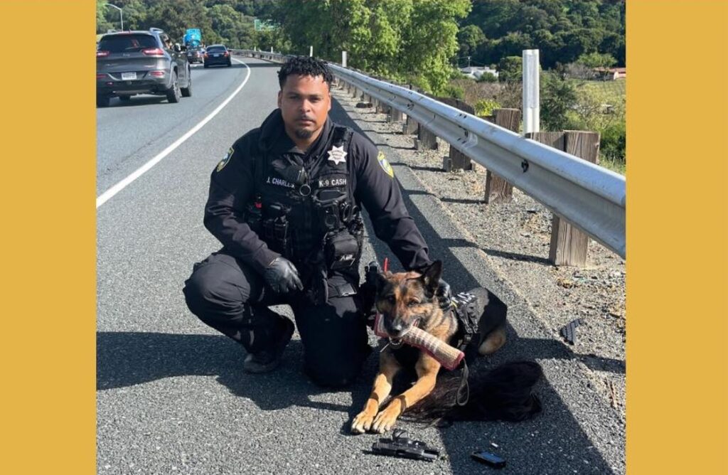 Robbery suspect arrested after pursuit from Richmond to Martinez