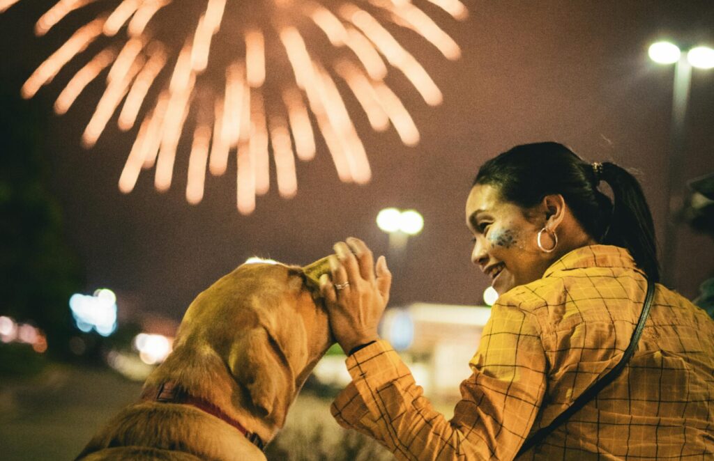 License Amnesty Program offered to pet owners ahead of July 4