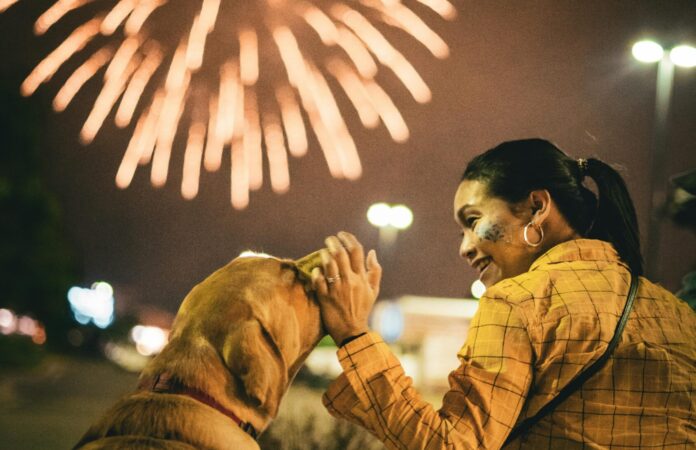 License Amnesty Program offered to pet owners ahead of July 4