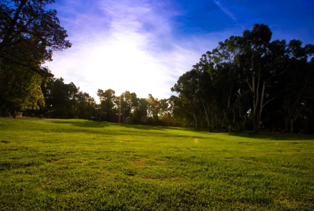 Hercules Cultural Festival coming to Refugio Valley Park