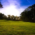 Hercules Cultural Festival coming to Refugio Valley Park Hercules Cultural Festival coming to Refugio Valley Park