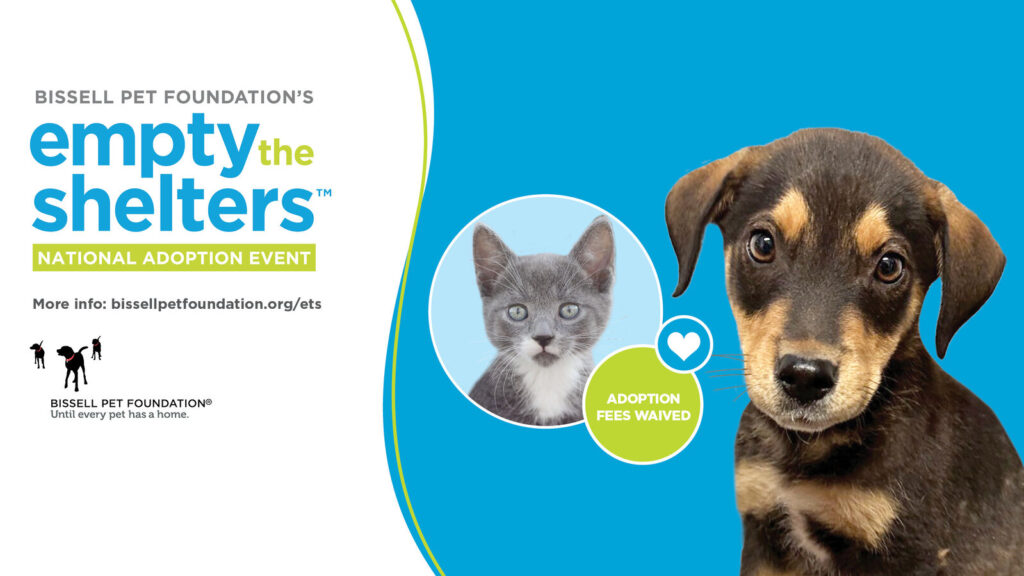 CCAS offering free adoptions in July