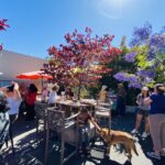 The Factory Bar’s 4th anniversary includes extended weekend of events The Factory Bar’s 4th anniversary includes extended weekend of events