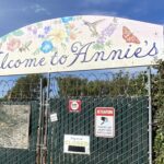 Annie’s Annuals, Richmond cultivator of California garden culture, closes Annie’s Annuals, Richmond cultivator of California garden culture, closes