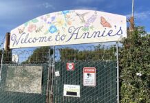 Annie’s Annuals, Richmond cultivator of California garden culture, closes Annie’s Annuals, Richmond cultivator of California garden culture, closes