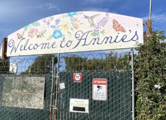 Annie’s Annuals, Richmond cultivator of California garden culture, closes Annie’s Annuals, Richmond cultivator of California garden culture, closes