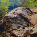 A Few of My Favorite Things: The ‘acorn boulder’ at Mira Vista Park A Few of My Favorite Things: The ‘acorn boulder’ at Mira Vista Park