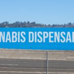 7 Stars installs 100-foot-wide ‘cannabis dispensary’ mural along I-80 7 Stars installs 100-foot-wide 'cannabis dispensary' mural along I-80