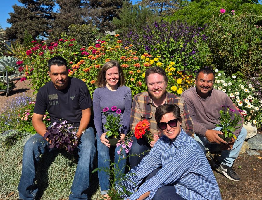 Annie’s Annuals blooms again