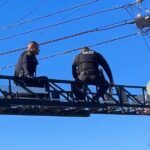 RPD brings distressed person down from utility pole after 2.5 hours RPD brings distressed person down from utility pole after 2.5 hours