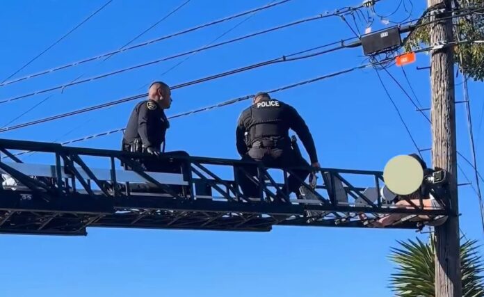 RPD brings distressed person down from utility pole after 2.5 hours