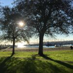 “Norooz Spring Celebration” to usher in renewal, fresh beginnings “Norooz Spring Celebration” to usher in renewal, fresh beginnings