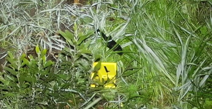 RPD releases new details in fatal officer-involved shooting