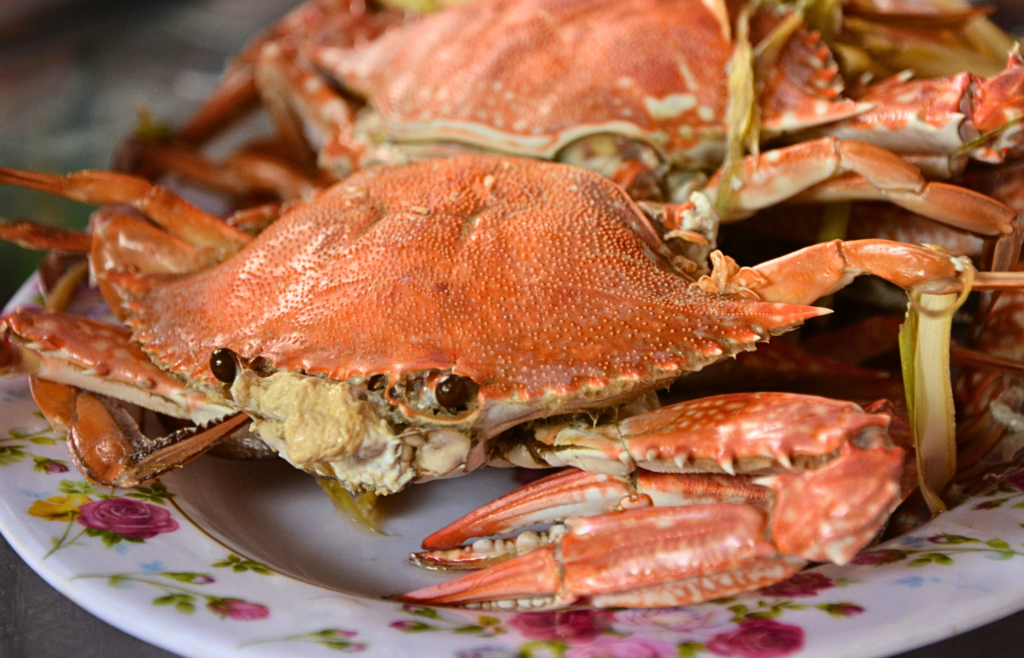 Rotary Club gears up for ‘Crab Feed’