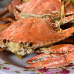Rotary Club gears up for ‘Crab Feed’ Rotary Club gears up for ‘Crab Feed’