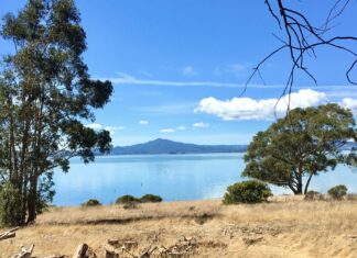 Richmond invited to Coastal Cleanup and Trashure Hunt