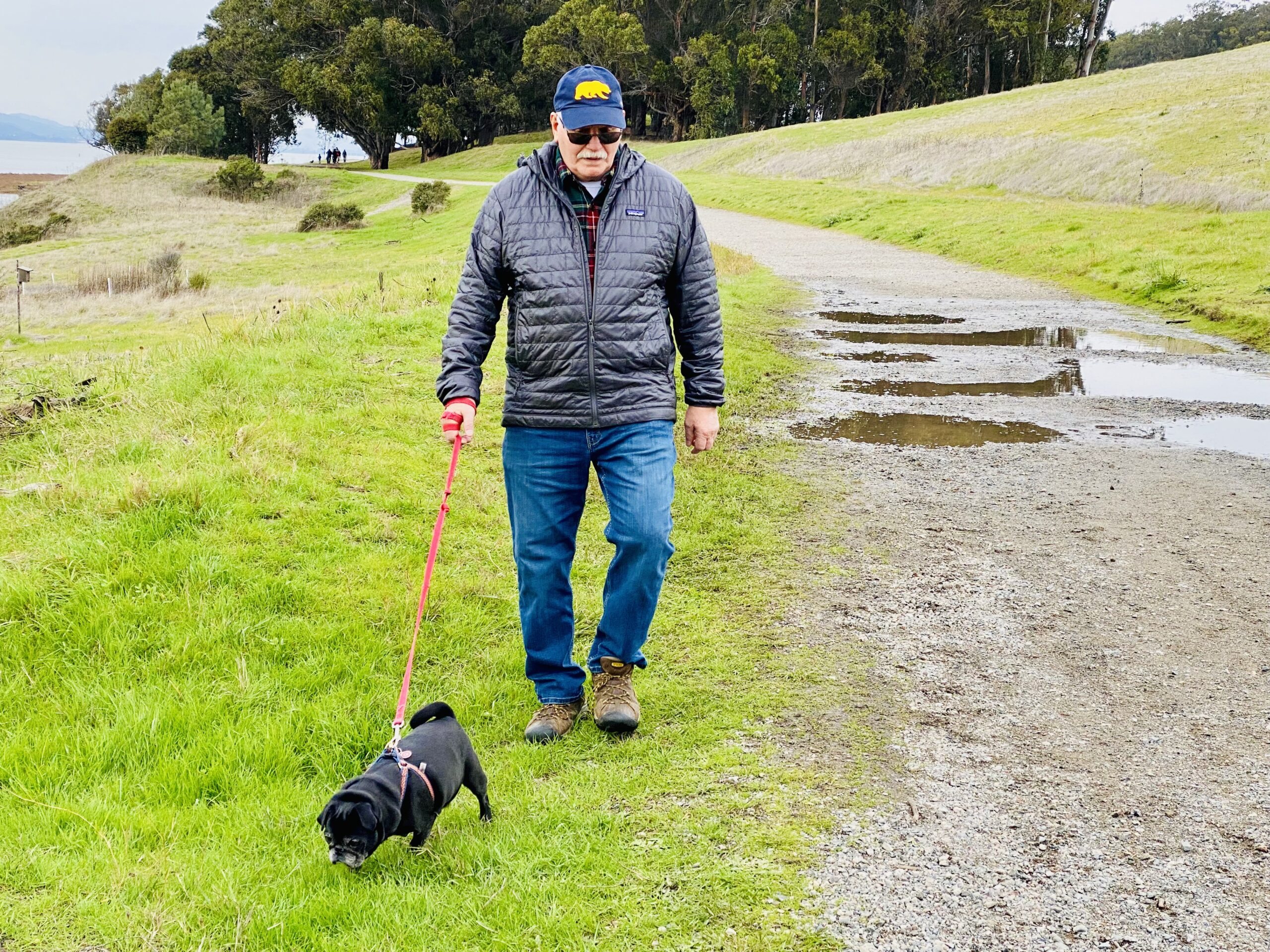 A Few of My Favorite Things: Point Pinole Regional Shoreline’s Bay View Trail