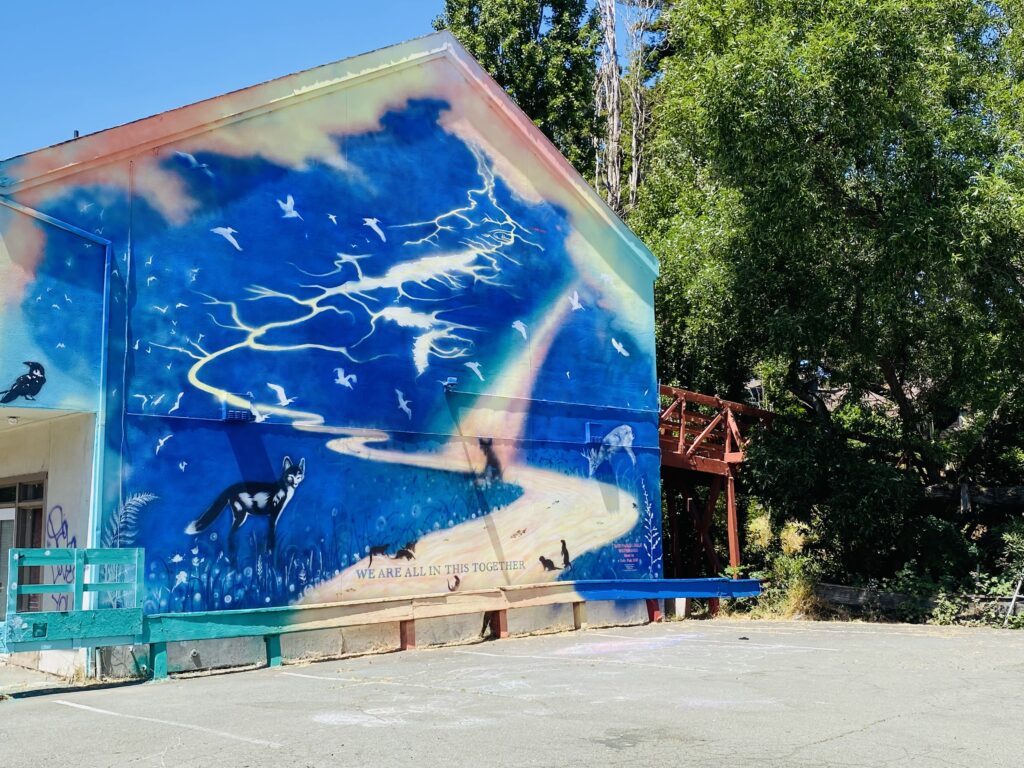 El Sobrante mural spotlights community’s local watershed