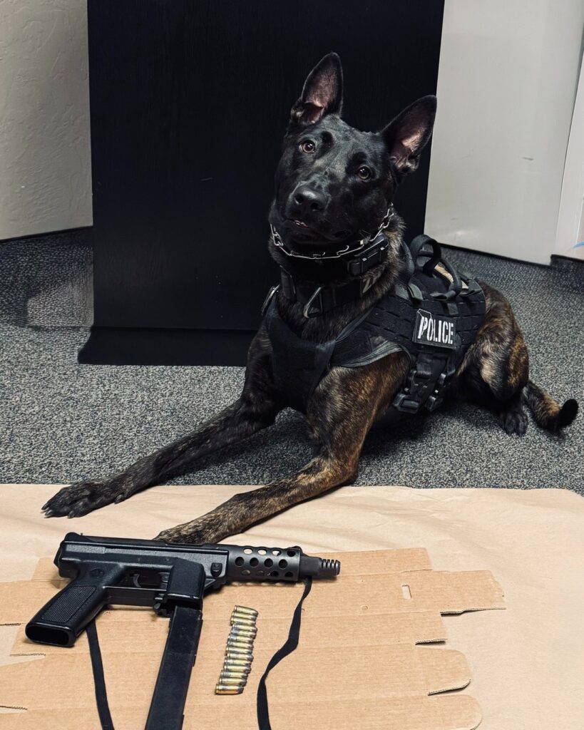 K9 Zayn helps San Pablo police locate Tec-9
