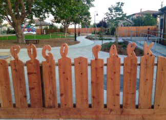 Pogo Park to host 3rd Annual Summer Carnival at Elm Playlot Pogo Park to host 3rd Annual Summer Carnival at Elm Playlot