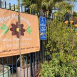 ‘Flirt & Tell’ book club brews up coffee & romance ‘Flirt & Tell’ book club brews up coffee & romance