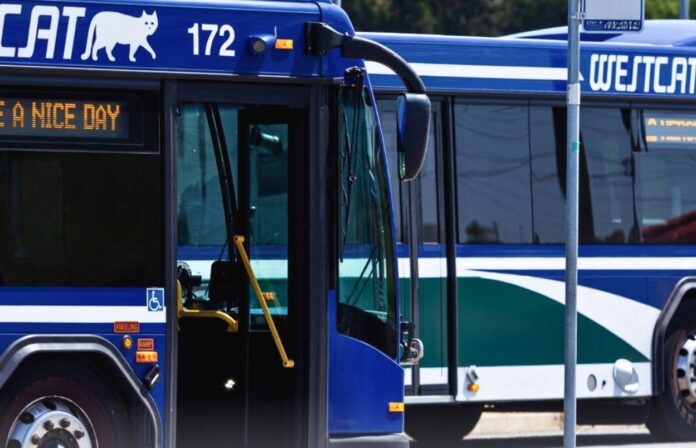 WestCAT celebrates 20 years of Lynx service with free rides
