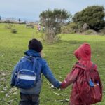 Wildcat Canyon Community School to host outdoor music festival "Canyon Fest" to benefit Wildcat Canyon Community School Garden Program