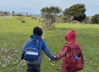Wildcat Canyon Community School to host outdoor music festival "Canyon Fest" to benefit Wildcat Canyon Community School Garden Program