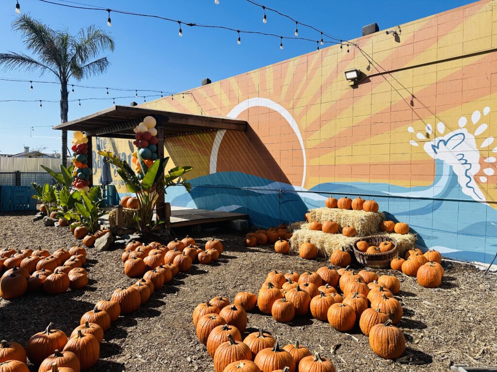‘Harvest Fest’ returns with pumpkins, petting zoo, music & more 