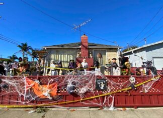 Pumpkin heads, skeletons & scares, oh my! Pumpkin heads, skeletons & scares, oh my!