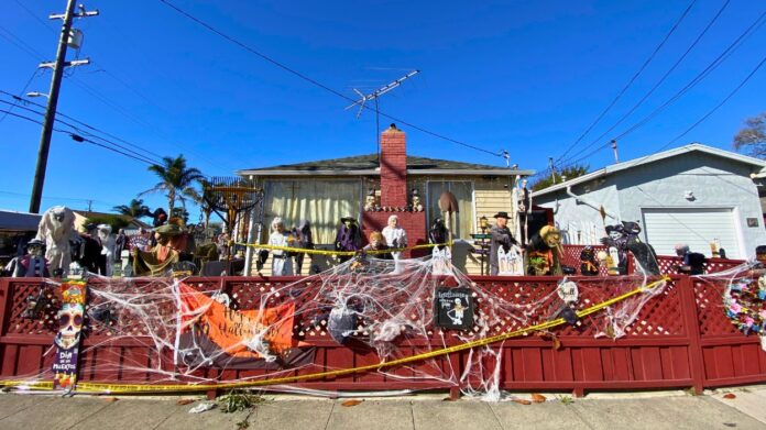 Pumpkin heads, skeletons & scares, oh my!