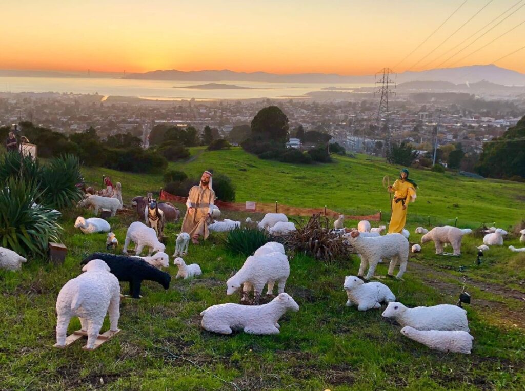 Sundar Shadi Holiday Display lights up El Cerrito hills Dec. 13–26