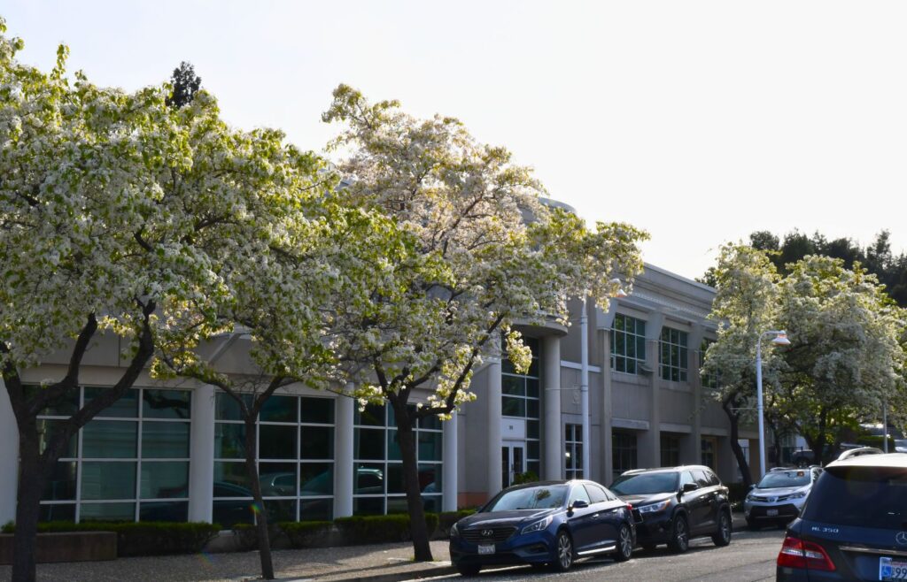 Pinole council passes 'ICE-free zone' policy on city property