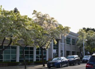 Concejo Municipal de Pinole aprueba “zona libre de ICE” en propiedades de la ciudad Pinole council passes 'ICE-free zone' policy on city property