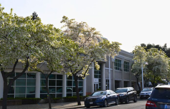 Pinole council passes 'ICE-free zone' policy on city property