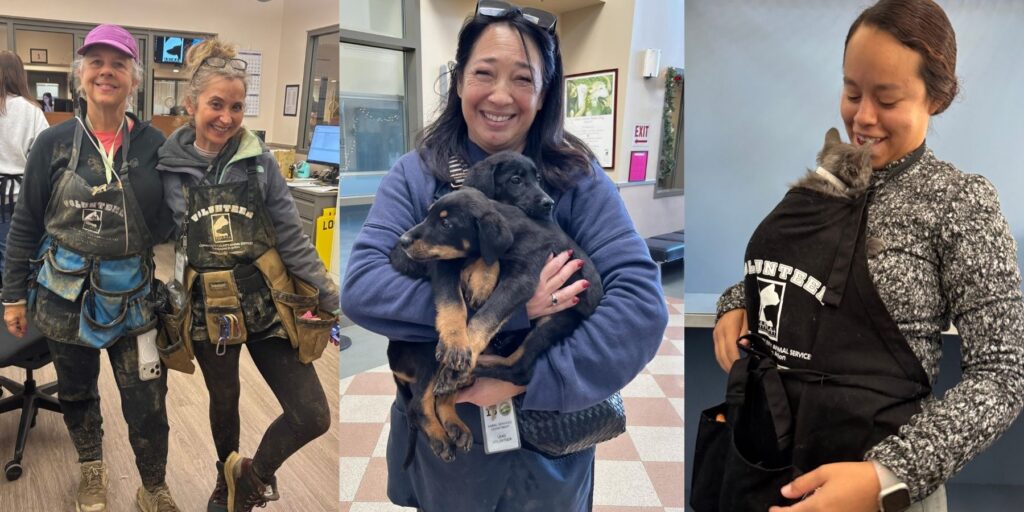 Contra Costa Animal Services seeks ‘paws-itively’ helpful volunteers