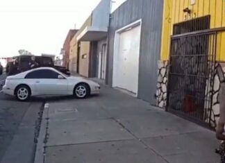 Richmond police use Taser to subdue dog during DUI arrest Richmond police use Taser to subdue dog during DUI arrest