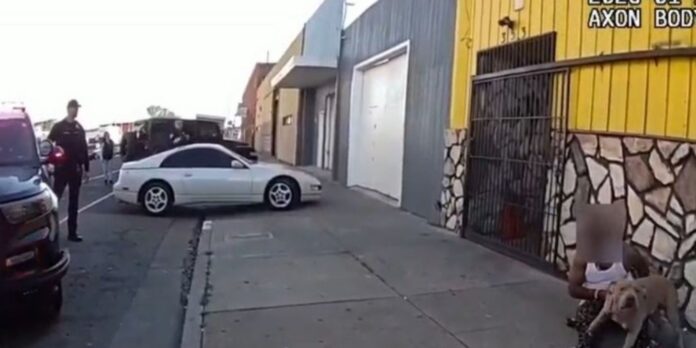 Richmond police use Taser to subdue dog during DUI arrest