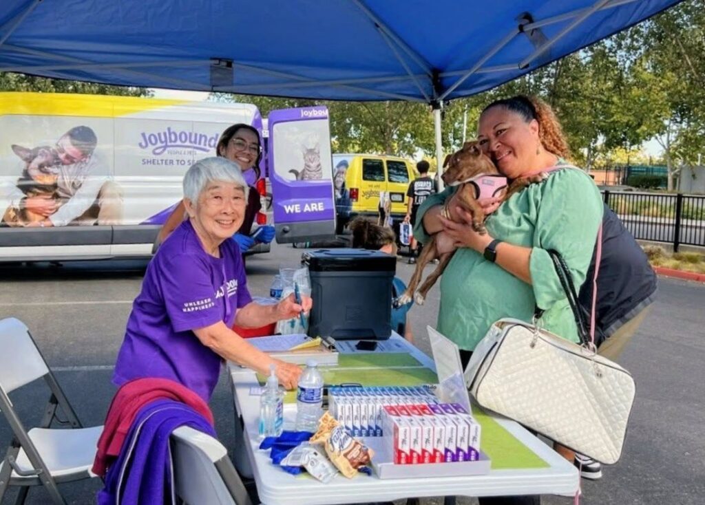 Richmond to host free Valentine's Day pet vaccine, microchip clinic