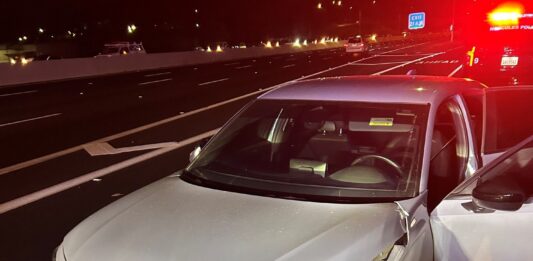 Spike strips, a drone and a fying Sawzall involved in chase after felon Spike strips, a drone and a fying Sawzall: felon captured after multi-agency chase