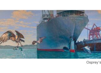 It’s ‘Wehrle’s World’ at Point Richmond Gallery It's 'Wehrle's World' at Point Richmond Gallery